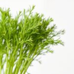 Jak Przygotować Kozią Brodę - Porady i Przepisy jak przygotować kozią brodę