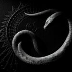 Co oznacza tatuaż węża – interpretacje i symbolika Co oznacza tatuaż węża