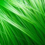 Co przyspiesza porost włosów – sposoby na szybszy wzrost Co przyspiesza porost włosów